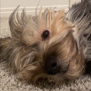 Meet your Posher, Sandra